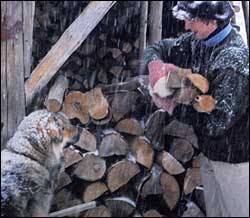 Reader Favorites: Harvesting Your Own Firewood Image